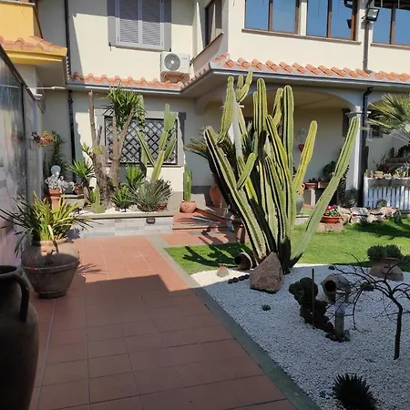 Cactus House