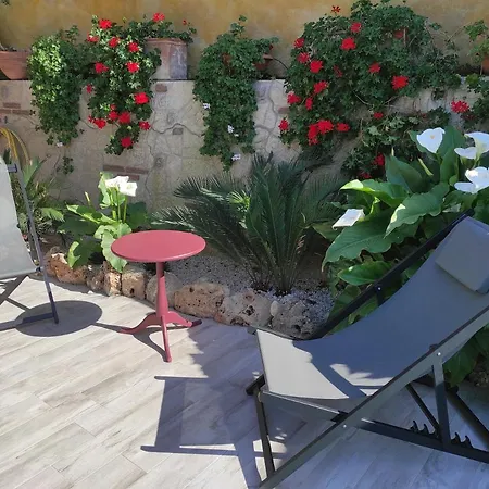 Cactus House Corchiano