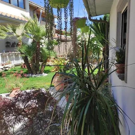 Cactus House *