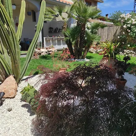 Cactus House Vakantiehuis Corchiano