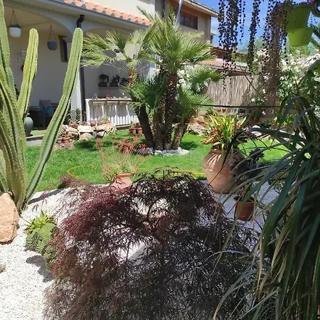 Cactus House * Corchiano