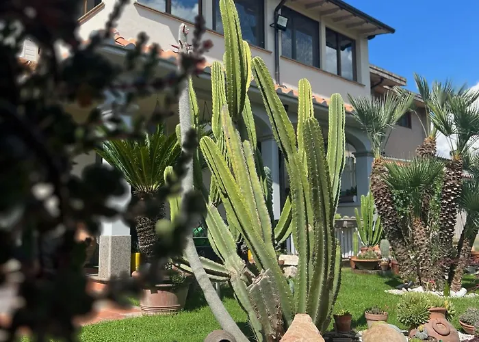 度假居 Cactus House